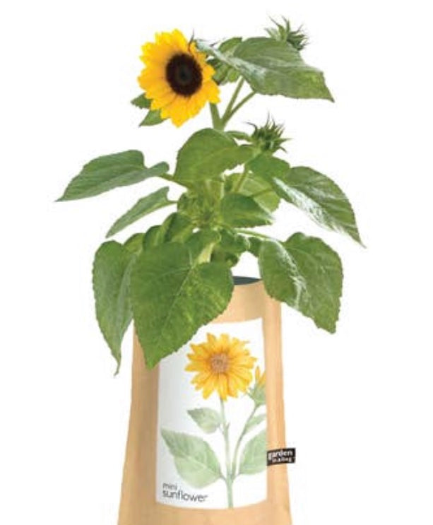 Garden in a Bag Sunflower