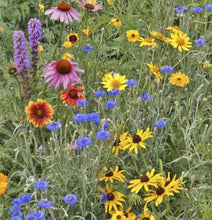 Garden in a Bag- Songbird Scatter Seeds