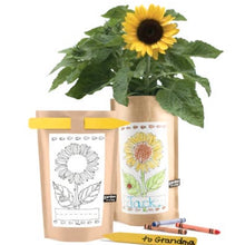 Garden in a Bag Sunflower Kids/Gift for Mom