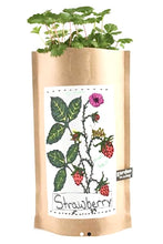 Garden in a Bag Strawberry Kids/Gift for Mom