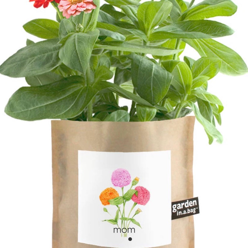 Garden in a Bag Mom Zinnea